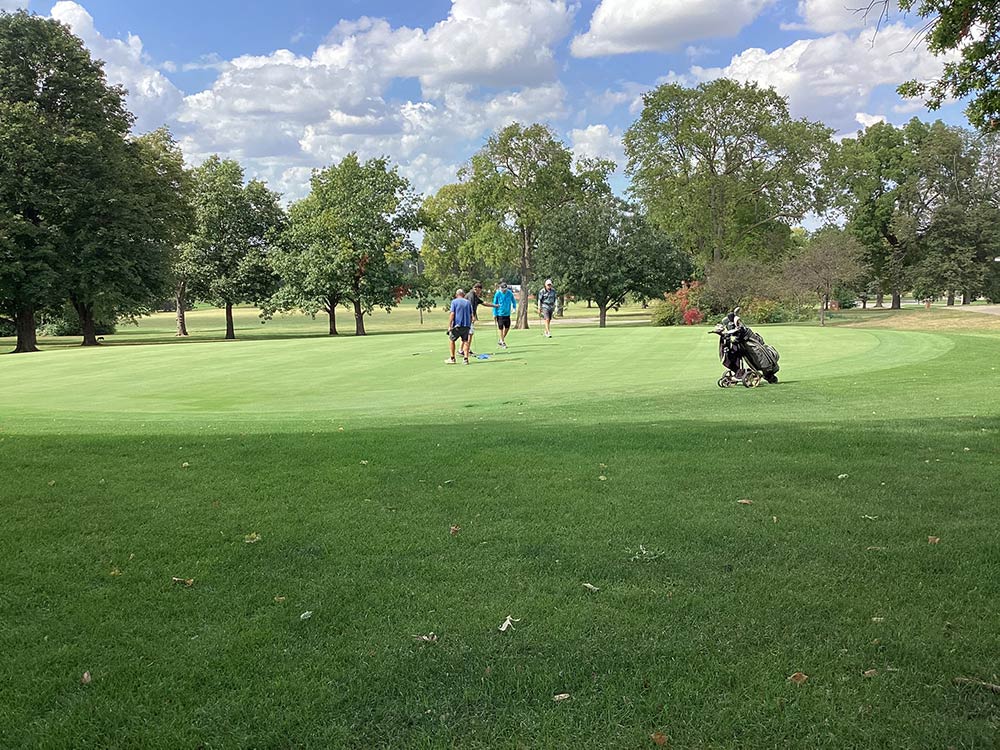 Men golfing